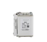 Fusibile rapido DC DC1000V ricarica pila tram energetico 100A 200A 300A 350A accumulo di energia EV(RSY-P101NK 315A,DC800V)