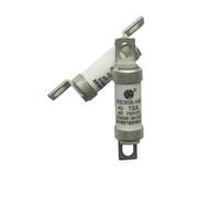 Fusibile RS308-HB 10 pezzi 4G 10A 16A 20A 25A 32A 40A 50A 63A 100A(4)