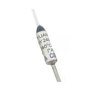 Fusibile termico 98 gradi 133 172 240 250V 16A(184C 16A 5pcs)
