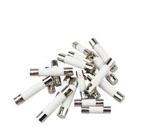 Fusibili a tubo a rottura rapida da 5 * 20mm e 6 * 30mm, 10 pezzi/lotto, fusibili ceramici da 250 V, uno in vendita(1.6A,6X30mm,10 PCS)