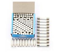 Fusibili elettrici in ceramica, Fusibile a tubo in ceramica for uso domestico 250 V, confezione da 10, diverse dimensioni (5 x 20 mm/6 x 30 mm), 1 A-30 A(5x20 10a)