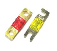 Fusibili for auto ANL ANS 20A 30A 40A 50A 60A 70A 80A 100A 125A 150A 175A 5 pezzi(120A,ANS,10 Pcs)