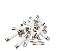 Fusibili for Tubi In Ceramica A Soffio Rapido, Kit Assortimento Di In Confezione Da 10 for In A 250 V 0,1 A-1 A 5x20mm 6x30mm(30a)