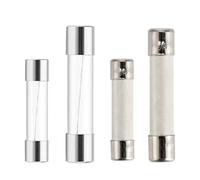 Fusibili in vetro ceramico da 20 pezzi 5x20 6x30 mm 250 V 0,2 A 0,5 A 1 A 2 A 3 A 5 A 6 A 8 A 10 A 15 A 5 * 20 6 * 30 Fusibili for multimetro Tubo for assicurazione auto(6X30mm Glass,250V F3A 20PCS)