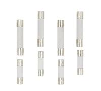 Fusibili rapidi in Vetro Tubolare, 100 Pezzi 5X20MM 6X30MM Tubo a Rottura Rapida 250 V 0,5 1 2 3 4 5 6 8 10 15 20 25 30 A AMP 5 * 20 6 * 30 Rallenta Il Fusibile dell'auto(5x20mm,Quick Break F-6.3A)