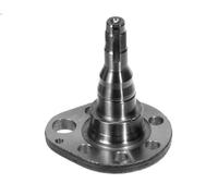 Fuso a snodo, sospensione delle ruote MEYLE 100 501 0036 AROSA (6H1) 1 1997-2004