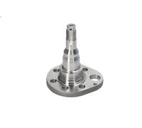 Fuso a snodo, sospensione delle ruote MEYLE 100 501 0037 AROSA (6H1) 1 1997-2004