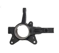 Fuso a snodo, sospensione delle ruote REINHOCH RH08-2020 per KANGOO 1 2002-2007