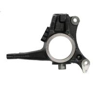 Fuso a snodo, sospensione delle ruote REINHOCH RH08-2046 per C6 (TD_) 3 2005-