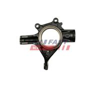 FAST FT13554 Fuso a snodo, Sospensione ruota per CITROËN,DS,PEUGEOT