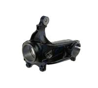 NTY Fusello ZZP-CT-001 Mozzo sospensione anteriore destro per Citroën C2/C3/DS, Peugeot 1007/208