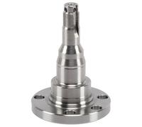 MEYLE Snodo di sterzo per sospensione ruota 100 501 1010 per Audi, Seat