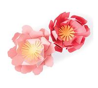 FUSTELLA SIZZIX BIGZ "FIORI ESTIVI" 663860 - STAMPA PER BIG SHOT FIORE