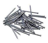 Future 601030 Punte Testa Persa, Zinco, 10 x 30, Borsa/Cab. 250 g