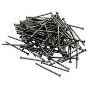 Future 633213 Punta Testa Piatta, Zinco, 12 x 30, Astuccio 40 Pezzi