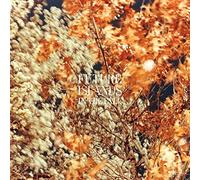 Future Islands - In The Fall