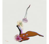 Future Islands The Far Field (Vinyl LP) 12" Album