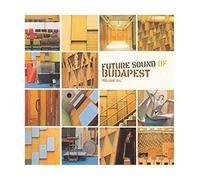Future Sound Of Budapest Vol.04 - Various Artists (Vinile)