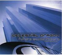 Future Sound Theory - Various Artists (Audio CD)