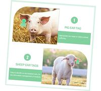 FUTUREORYY 100 Pezzi Etichette Auricolari per Bestiame Targhetta Vuota per Maiali Bovini e Ovini Leggera e per Animali da