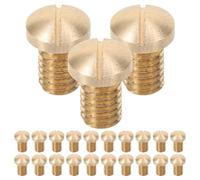 FUTUREORYY 30 Pezzi Viti per Sassofono in Ottone Colore Oro Resistenti All'usura Fissaggio Sicuro per Manutenzione Strumenti a Fiato Legno come Sax Tenore