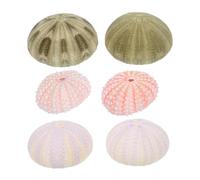 FUTUREORYY Decorazioni Ricci di Mare e Accessori per Acquari 6 Pezzi Miste, Materiali Sicuri e Colori Intensi per Decorazione Tavolo e Vasche Pesci