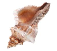 FUTUREORYY Nautical Flower Pot Conch Shaped Planter for Succulents And Cacti Coastal Desktop Ornament for Home Office Garden Decor