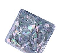 FUXIU Gioielli per unghie Shell Shell Pezzi di Shell del chiodo Frammenti di Shell del chiodo Gioielli di bellezza Decorazione per le unghie Strumento di