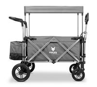 Fuxtec Carrello per Bambini Pieghevole e da Trasporto Deluxe FX-CTL900 (Colore: Grigio)