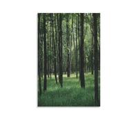 FUYUETTG Stampa artistica da parete su tela con motivo foresta fantasy, vintage, con alberi della natura, stampa su tela testurizzata, per soggiorno, camera da letto, ufficio, senza cornice, 30 x 45