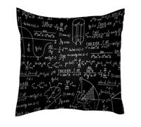 FVQL 1 federa per cuscino, quadrata, 40,6 x 40,6 cm, decorativa, formula matematica