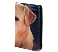 FVQL Custodia per passaporto da viaggio, 10 x 14 cm, Labrador Retriever cane animale, Multicolor1401, 10x14cm/4x5.5 in