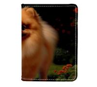 FVQL Custodia per passaporto da viaggio in finta pelle, 11,4 x 16,5 cm, simpatico cane Pomerania, Color2791, 11.5x16.5cm/4.5x6.5 in