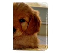 FVQL Custodia per passaporto da viaggio in finta pelle, motivo Golden Retriever divertente animale domestico, Color4455, 11.5x16.5cm/4.5x6.5 in