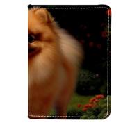 FVQL Custodia per passaporto per donne e uomini, 10 x 14 cm, simpatico cane Pomerania, Multicolore 2805, 10x14cm/4x5.5 in