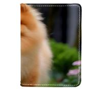 FVQL Porta passaporto 10,2 x 14,9 cm, in ecopelle, divertente cane Pomerania, Multicolor510, 10x14cm/4x5.5 in