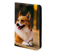 FVQL Porta passaporto, 10 x 14 cm, accessori da viaggio per donne, uomini, donne, uomini, divertente cane corgi, Multicolore 3743, 10x14cm/4x5.5 in