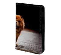 FVQL Porta passaporto in finta pelle, 10,2 x 14,9 cm, motivo cane divertente animale, Multicolor4354, 10x14cm/4x5.5 in