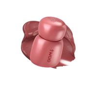 Fwee - Rose Obsession Stay-fit Lip Tint - 4g - MN03 Dried Rose