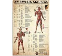 FWJZDSP Ayurveda Marmas Targhe in metallo Retro Conoscenza medica Poster Apprendimento Infografica Targhe Home Club Decorazione da parete per ufficio 12x16 pollici