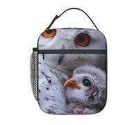 FWJZDSP Borsa termica per il pranzo a forma di gufo con tasca frontale per donne e uomini, graziosa borsa per il pranzo, portapranzo per lavoro/ufficio/viaggi/picnic