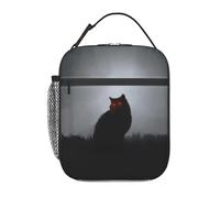 FWJZDSP Borsa termica per il pranzo Hell Cat con tasca frontale per donne e uomini, graziosa borsa per il pranzo, portapranzo per lavoro/ufficio/viaggi/picnic