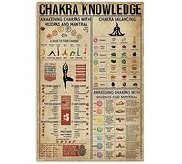 FWJZDSP Chakra Knowledge Poster in metallo Risveglio Chakra con mudra e mantra Targa in metallo retrò Scuola Yoga Cafe Camera da letto Bagno Cucina Home Art Decorazione da parete Targa
