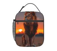 FWJZDSP Leon, Nature, Borsa termica per il pranzo con tasca frontale per donne e uomini, graziosa borsa per il pranzo, portapranzo per lavoro/ufficio/viaggi/picnic