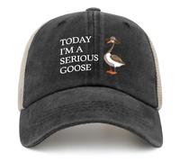 FWJZDSP Oggi Sono Un serio Cappello da Camionista Goose Hat da Donna, Cappelli Vintage in Rete per L'Estate