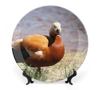 FWJZDSP Piatti decorativi commemorativi Burn Duck Beach Bird da appendere alla parete, in ceramica, 7 pollici, collezione per feste, matrimoni, con supporto espositivo, decorazione per la casa.