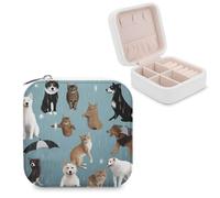 FWJZDSP Portagioielli Raining Cats & Dogs per donna, custodia da viaggio portatile in pelle PU per gioielli, piccola scatola portaoggetti per collane, orecchini e anelli