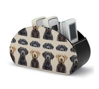 FWJZDSP Supporto per telecomando per cani Labrador Retriever, scatola portaoggetti con 5 scomparti per cosmetici e articoli per ufficio