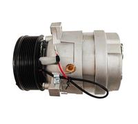 FWNERGUL Compressore aria condizionata compatibile con pompa di raffreddamento for camion Tata Daewoo Ultra Novus 65.2860-6005C 65286506005C