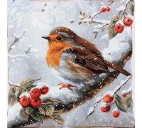 FWRTYCB Latch hook Cuscini Kit Uncinetto Adulto Snow Robin Bird On Branch Winter Tappeto Federa Bambini Principiante Ricamo fai da te Set fatto a mano Craft Divano Home Decor 43x43cm, 1 pc